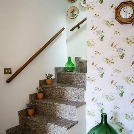 Apartment Green House *