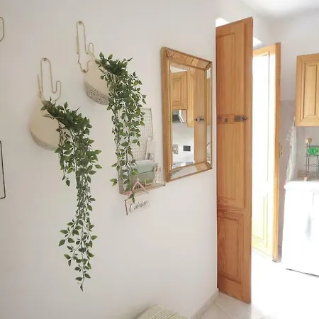 Green House
